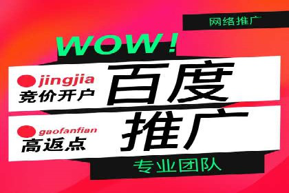 百度竞价托管运营成功案例解析